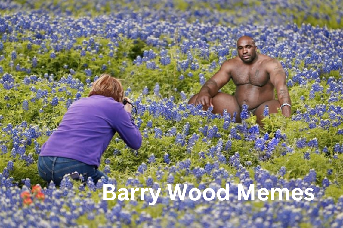 Get To Know Barry Wood Memes LikeFigures