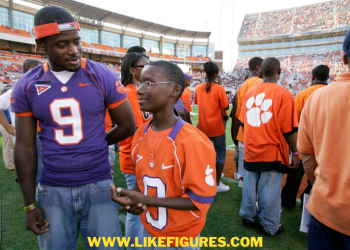 Ray mcelrathbey wife