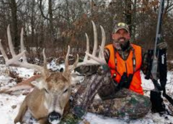 Lee Lakosky: a businessman and entrepreneur