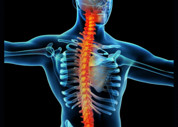 Chronic Neuropathic Pain