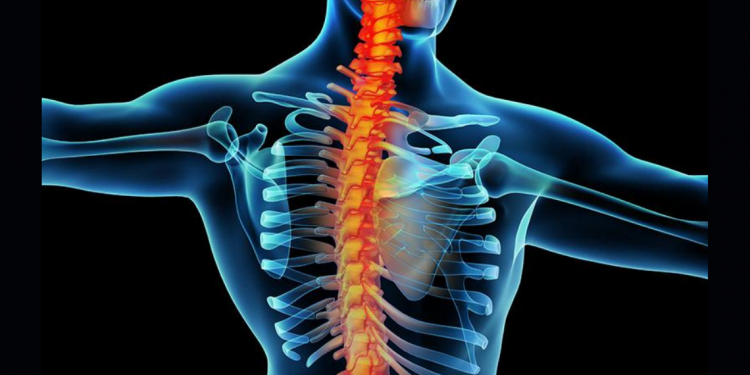 Chronic Neuropathic Pain