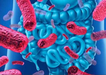 2 Best Probiotic Strains