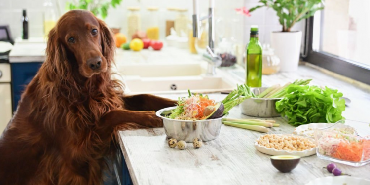 Natural Pet Food