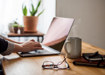 software development