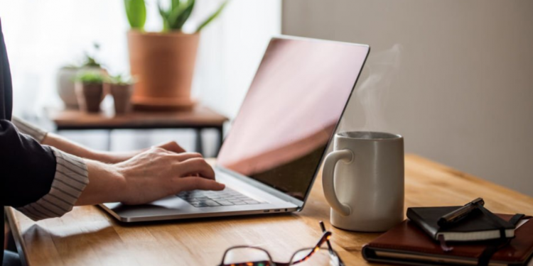 software development