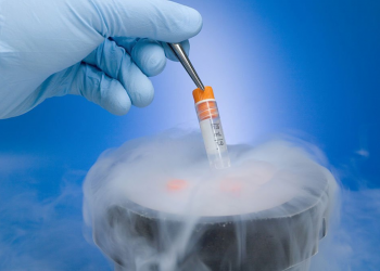 Frozen Embryos