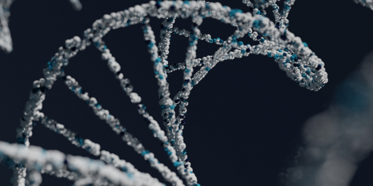 WHAT HAPPENS IF YOU SPLIT AN ATOM