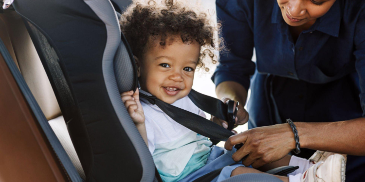 Car Seat Organizer