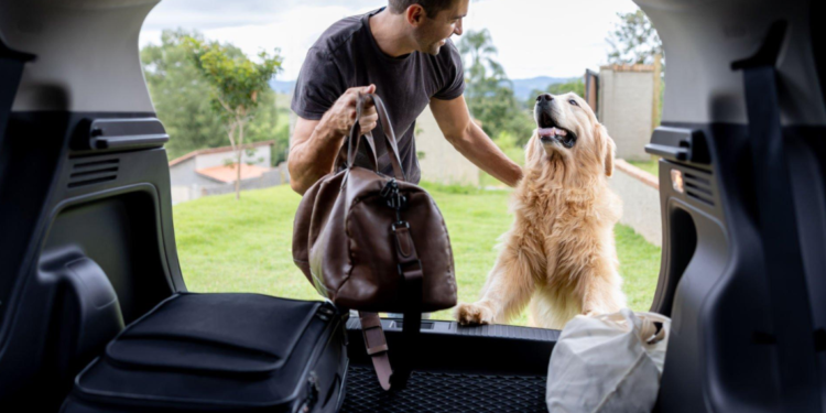 Dog Seat Cover