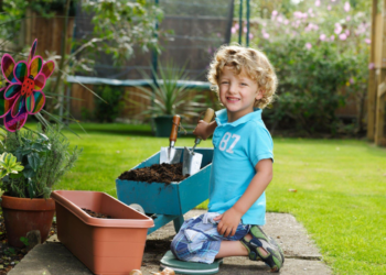 Gardening Tools and Accessories