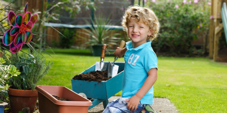 Gardening Tools and Accessories