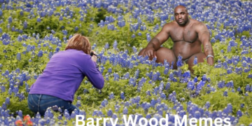 Get to Know Barry Wood Memes - LikeFigures