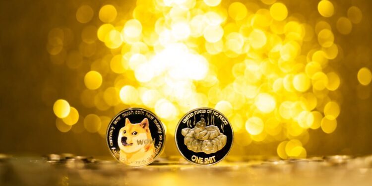 Shiba Inu token