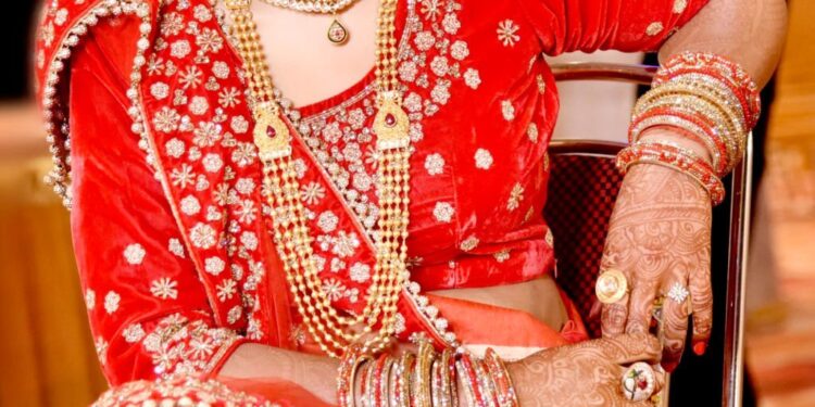 Wedding Blouse Back Design