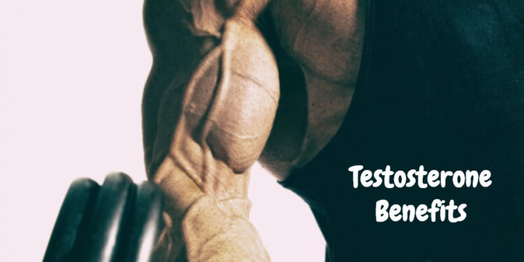 Testosterone