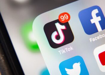 tiktok video downloader