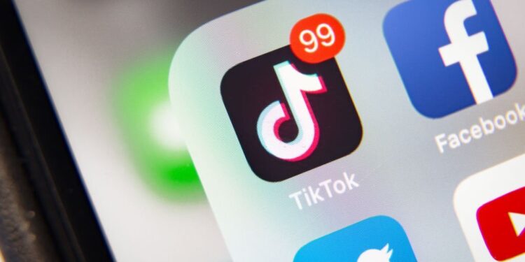 tiktok video downloader
