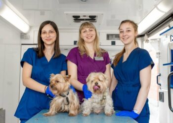 Veterinary Team