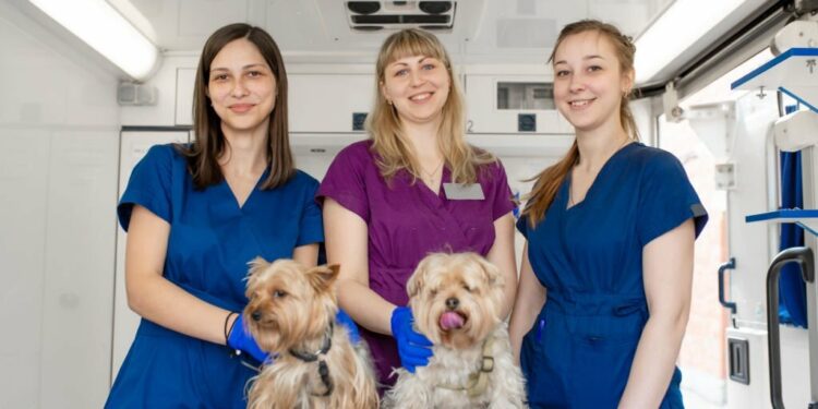 Veterinary Team