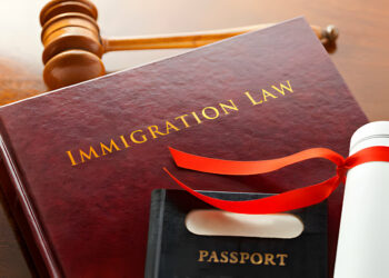 Immigration Lawyer