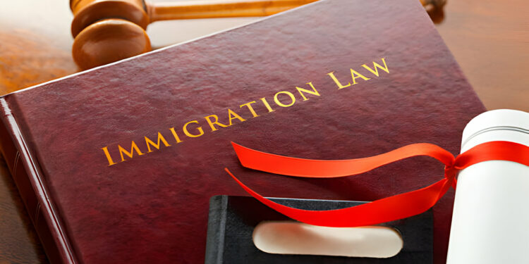 Immigration Lawyer