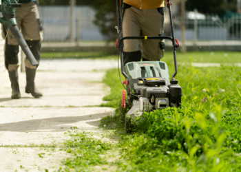Lawn Maintenance