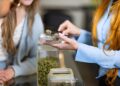 MMJ Card Online